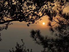 -缙云山景区