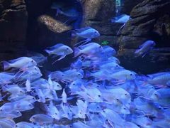 -成都浩海立方海洋公园