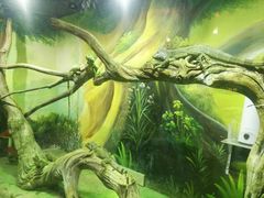 -华夏文旅西安度假区