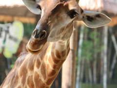 -广州长隆野生动物世界