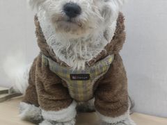 -安安宠医·臻爱宠物医院·宠保定点(营门口路分院)