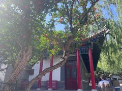 -华清宫景区