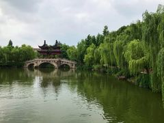 -上海圣淘沙万怡酒店