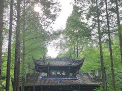 -青城山