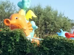 -秦皇岛乐岛海洋王国