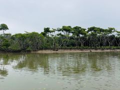 -东寨港红树林旅游区
