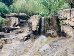 -狼牙山风景区