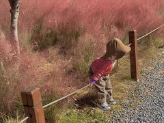 -汉长安城未央宫国家考古遗址公园