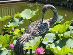 -苏州河梦清园环保主题公园