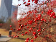 -长春公园(普阳街道)