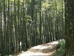 -西湖风景区十里琅珰-五云山