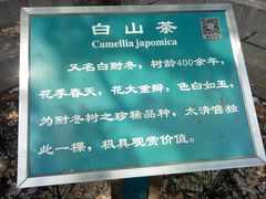 -青岛崂山太清宫