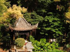 -深圳国际园林花卉博览园
