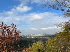 -树山生态村