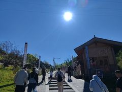-王莽岭风景区