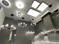 -张士灯具城(家居优选店)