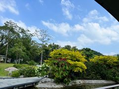 -云溪植物园