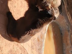 -昆明动物园
