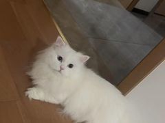 -联合动物医院(光谷诊疗中心)