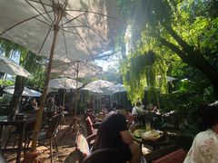 -Fern Forest Cafe