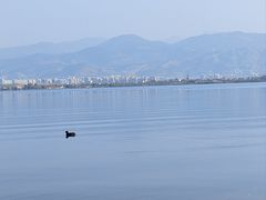 -西昌邛海湿地