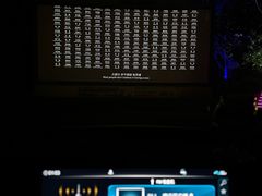 -枫花园汽车电影院(朝阳公园店)