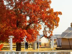 -五角枫生态旅游景区