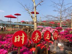 -盈香心动乐园
