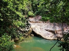 -广州白江湖森林公园