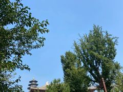-隆福寺