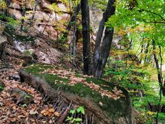 -五女峰国家森林公园