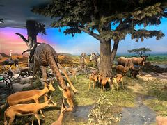 -国家自然博物馆