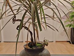 -领享养生会所·采耳·SPA按摩(厦门吕厝店)