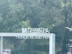 -金鸡湖桃花岛