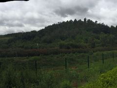 -云南艺术学院(呈贡校区)