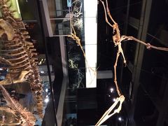 iphone_upload_pic-墨尔本博物馆(Melbourne Museum)