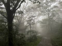 -北仑森林植物园