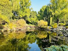 -三忘湖 SWANSEEN(柳荫公园店)