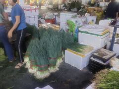 -鸿港海鲜批发市场