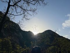 -泰山风景名胜区