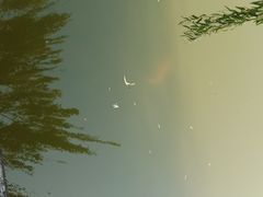 -月牙潭公园