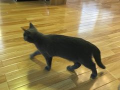 -壹人壹像工作室(购物公园店)