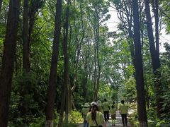 -上海美帆帆船露营基地