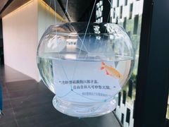 -知美术馆