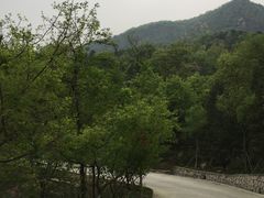 -北京鹫峰国家森林公园