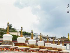 -塔尔寺
