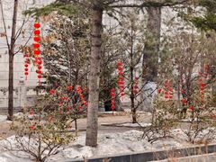 -哈尔滨极乐寺