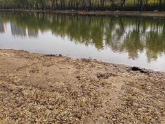 -森林公园(尖草坪区)