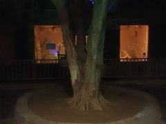 -龙达温泉生态城