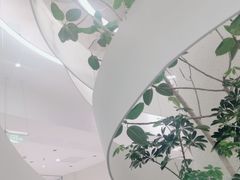 -大树餐厅(朝阳大悦城店)